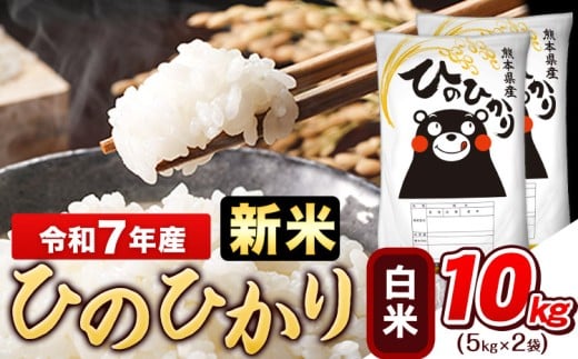新米 令和7年産 白米 ひのひかり 10kg《10月中旬-12月末頃出荷》令和7年産 高レビュー 熊本県産 ふるさと納税 無洗米 白米 精米 ひの 米 こめ ふるさとのうぜい ヒノヒカリ コメ お米 おこめ