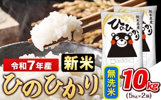 新米 令和7年産 無洗米 ひのひかり 10kg《10月中旬-12月末頃出荷》令和7年産 熊本県産 ふるさと納税 無洗米 白米 精米 ひの 米 こめ ふるさとのうぜい ヒノヒカリ コメ お米 おこめ