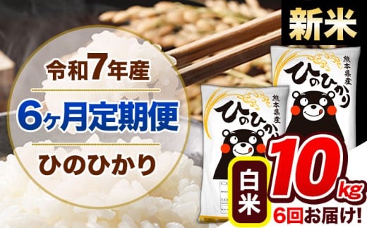 【6ヶ月定期便】新米 令和7年産  定期便 ひのひかり 10kg 《11月から出荷開始》令和7年産 熊本県産 ふるさと納税 白米 精米 ひの 米 こめ ふるさとのうぜい ヒノヒカリ コメ 熊本米 ひのもり