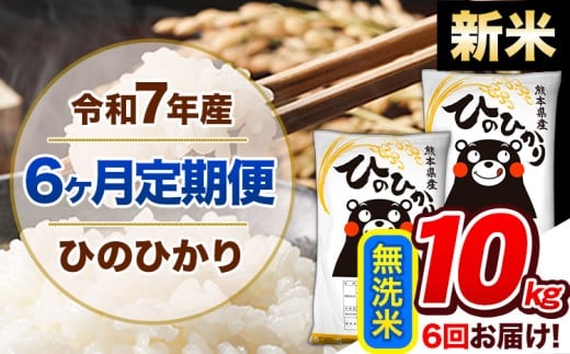 【6ヶ月定期便】新米 令和7年産  定期便 無洗米 ひのひかり 10kg 《11月から出荷開始》令和7年産 熊本県産 ふるさと納税 精米 ひの 米 こめ ふるさとのうぜい ヒノヒカリ コメ 熊本米 ひのもり