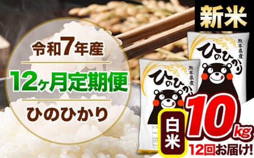 【12ヶ月定期便】新米 令和7年産 定期便 ひのひかり 10kg 《11月から出荷開始》令和7年産 熊本県産 ふるさと納税 白米 精米 ひの 米 こめ ふるさとのうぜい ヒノヒカリ コメ 熊本米 ひのもり