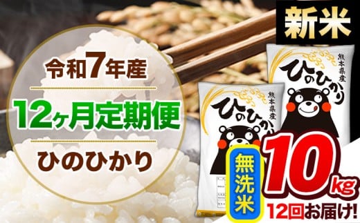【12ヶ月定期便】新米 令和7年産  定期便 無洗米 ひのひかり 10kg 《11月から出荷開始》令和7年産 熊本県産 ふるさと納税 精米 ひの 米 こめ ふるさとのうぜい ヒノヒカリ コメ 熊本米 ひのもり