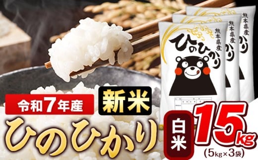 新米 令和7年産 白米 ひのひかり 15kg《10月中旬-12月末頃出荷》令和7年産 熊本県産 ふるさと納税 白米 精米 ひの 米 こめ ふるさとのうぜい ヒノヒカリ コメ お米 おこめ