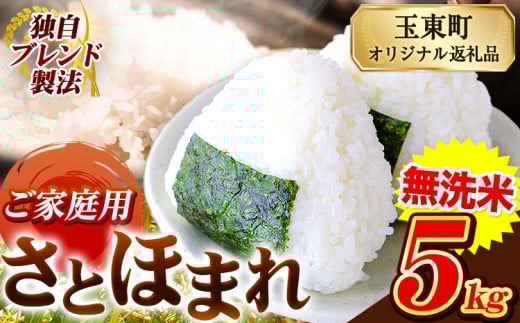 熊本県産 さとほまれ 無洗米 ご家庭用 5kg 《10月中旬-12月末頃出荷》熊本県 玉名郡 玉東町 米 こめ コメ ブレンド米 送料無料