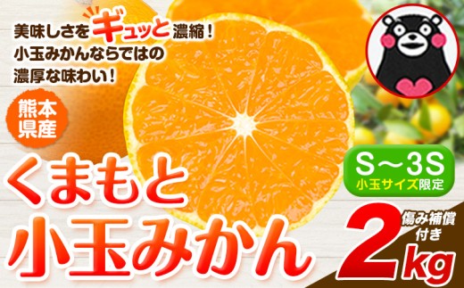 みかん 小玉みかん くまもと小玉みかん 2kg  秋 旬 ご家庭用 SDGs 小玉 たっぷり 熊本県 産 S-3Sサイズ フルーツ 旬 柑橘 熊本県産 温州みかん《10月中旬-12月末頃出荷》みかん 温州みかん 旬みかん