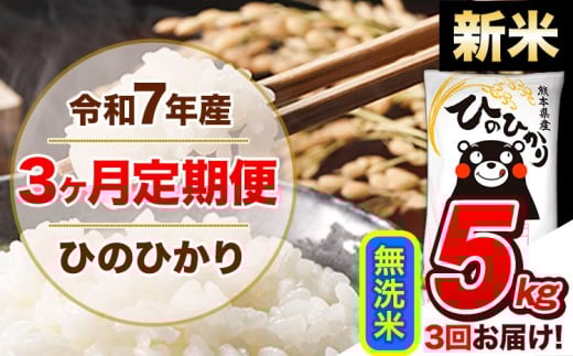 [3ヶ月定期便]新米 令和7年産 定期便 無洗米 ひのひかり 5kg [11月から出荷開始]令和7年産 熊本県産 ふるさと納税 精米 ひの 米 こめ ふるさとのうぜい ヒノヒカリ コメ 熊本米