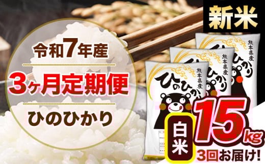 【3ヶ月定期便】新米 令和7年産  定期便 ひのひかり 15kg 《11月から出荷開始》令和7年産 熊本県産 ふるさと納税 白米 精米 ひの 米 こめ ふるさとのうぜい ヒノヒカリ コメ 熊本米 ひのもり