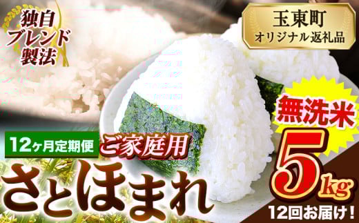 【12ヶ月定期便】熊本県産 さとほまれ 無洗米 ご家庭用 定期便 5kg 《11月から出荷開始》熊本県 玉名郡 玉東町 米 こめ コメ ブレンド米 送料無料