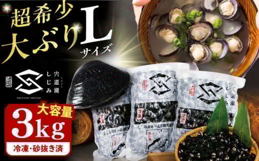 地元でも入手困難なレアサイズ！ Lサイズ 宍道湖産ヤマトシジミ(冷凍砂抜き済み)1kg×3袋(3kg)島根県松江市/宍道湖漁業協同組合 [ALAZ002]｜しじみ シジミ 蜆 しじみ汁 味噌汁 みそ汁 宍道湖 砂抜き 砂出し 冷凍