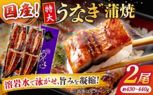 うなぎ老舗専門店のパリっとふっくら国産うなぎ 蒲焼2尾(蒲焼のタレ付き) 島根県松江市/株式会社山美世商会 [ALDC001]｜国産 うなぎ ウナギ 鰻 秘伝のタレ 蒲焼き 国産 島根 松江 おすすめ 人気