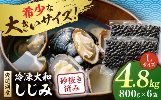 宍道湖産 冷凍大和しじみ 砂抜き済 Lサイズ800g×6袋(4.8kg) 島根県松江市/しじみ市場株式会社 [ALDK003]｜シジミ 蜆 貝 魚貝類 魚介類 海鮮 簡単 お手軽 砂抜き不要 しじみ汁 大容量