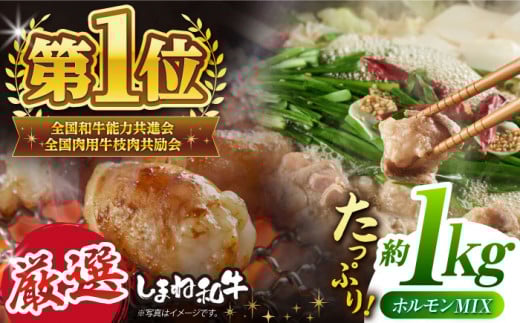 極上厳選！受賞歴多数 しまね和牛 厳選ミックスホルモン(1kg) 島根県松江市/株式会社O.R.C [ALEF006]｜牛肉 和牛 肉  黒毛和牛 高級 松江 島根 国産牛