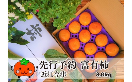 ◆【残りわずか】実生庵の近江今津産　富有柿 3L 約3.0kg 1箱 12玉＜生産者直売一貫体制＞ 【令和7年(2025)産】