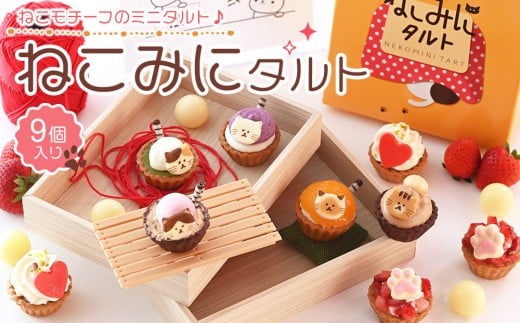 ねこみにタルト 9個入(秋・冬バージョン)【洋菓子 ケーキ タルト スイーツ チョコ だいふく 大福 いちご 生クリーム クリーム セット商品 詰合せ 岡山県 おすすめ 人気 】