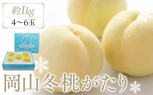 岡山冬桃がたり 約1.0kg (4～6玉)【桃 もも 果物 フルーツ くだもの 高級 ギフト 贈答用 1kg 岡山県産 岡山県 おすすめ 人気】