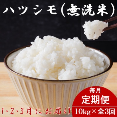 【発送月固定定期便】生産者応援!岐阜県産ハツシモ(無洗米)10kg【1・2・3月発送】全3回【配送不可地域:離島】【4073162】