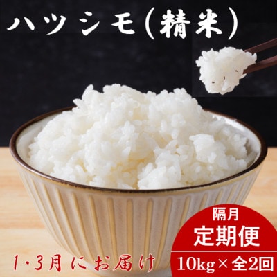 【発送月固定定期便】生産者応援!岐阜県産ハツシモ精米10kg【1・3月発送】【隔月定期便】全2回【配送不可地域:離島】【4073154】