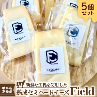 セミハードチーズ　Field(フィールド)個包装5個セット【配送不可地域：離島】【1663753】