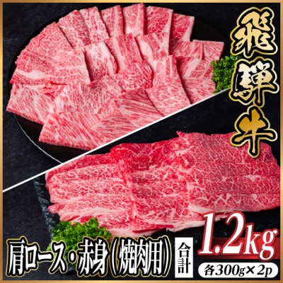 飛騨牛 厳選肩ロース・赤身(焼肉・BBQ用) 計1.2kg(各300g×2) 黒毛和牛 小分け【配送不可地域:離島】【1667366】