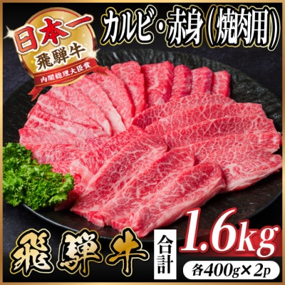 飛騨牛　厳選カルビ・赤身(焼肉・BBQ用)　計1.6kg(各800g)　黒毛和牛　小分け【配送不可地域：離島】【1667428】