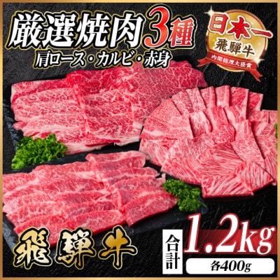 飛騨牛 厳選焼肉3種(肩ロース・カルビ・赤身) 計1.2kg(各400g) 黒毛和牛 小分け【配送不可地域:離島】【1669123】