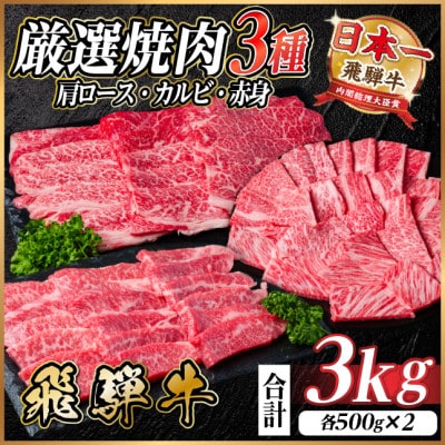 飛騨牛 厳選焼肉3種(肩ロース・カルビ・赤身) 計3kg(各500g×2) 黒毛和牛 小分け【配送不可地域:離島】【1669125】