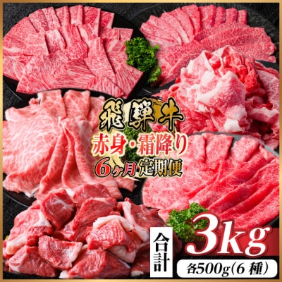 【毎月定期便】飛騨牛 赤身・霜降り定期便 計3kg カルビ・ロース(焼肉・BBQ用) すね肉全6回【配送不可地域:離島】【4075089】