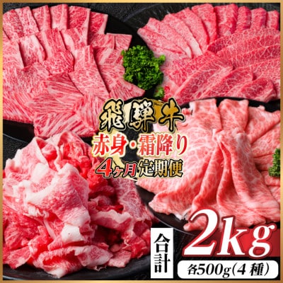 【毎月定期便】飛騨牛 赤身・霜降り定期便 計2kg カルビ・赤身・ロース(焼肉・BBQ用)全4回【配送不可地域:離島】【4075143】