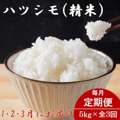 【発送月固定定期便】生産者応援!岐阜県産ハツシモ(精米)5kg【1・2・3月発送】全3回【配送不可地域:離島】【4075500】
