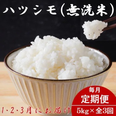 【発送月固定定期便】生産者応援!岐阜県産ハツシモ(無洗米)5kg【1・2・3月発送】全3回【配送不可地域:離島】【4075502】