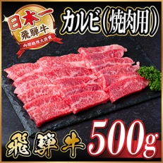 飛騨牛 厳選カルビ(焼肉・BBQ用)500g A4~A5等級【冷凍便】【配送不可地域:離島】【1487355】