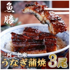 三河一色産うなぎ蒲焼　3尾〈計約480g〉【配送不可地域：離島】【1532720】