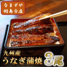 九州産うなぎ蒲焼　3尾〈計約360g〉【配送不可地域：離島】【1533663】