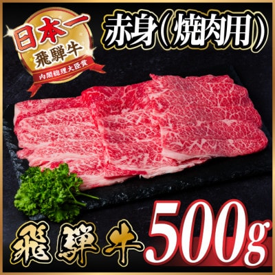 飛騨牛 厳選赤身(焼肉・BBQ用)500g A4~A5等級【冷凍便】【配送不可地域:離島】【1543752】