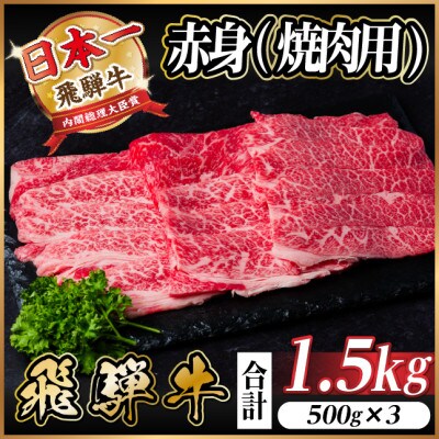 飛騨牛　厳選赤身(焼肉・BBQ用) 1.5kg(500g×3)　A4～A5等級　小分け【配送不可地域：離島】【1543759】