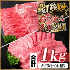 飛騨牛霜降り・赤身食べ比べセット 2ヶ月定期便 計1kg A4~A5【配送不可地域:離島】【4057098】