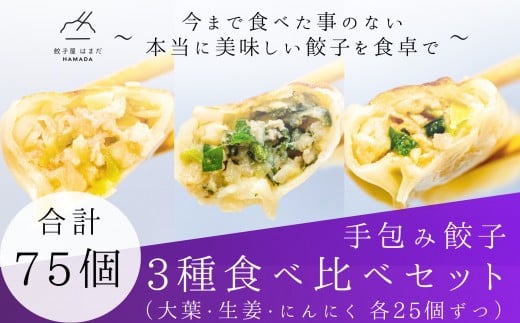 餃子 手包み餃子 3種食べ比べセット 合計75個 餃子屋はまだ