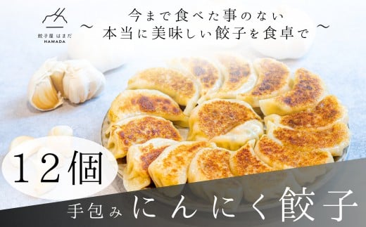 餃子 手包みにんにく餃子 Sパック 12個入り 餃子屋はまだ