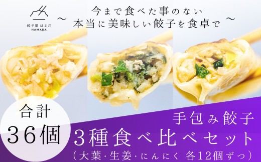 餃子 手包み餃子 Sパック 3種セット 合計36個 餃子屋はまだ