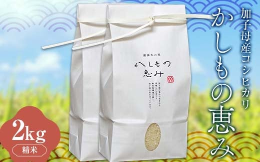 加子母産コシヒカリ「かしもの恵み」1kg×2 あなたが選ぶ日本一おいしい米コンテスト受賞米 米 精米 コシヒカリ F4N-1798