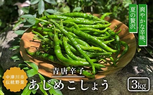 【飛騨・美濃伝統野菜】【数量限定】2026年予約販売 爽やかな辛味 青唐辛子 あじめこしょう 中津川産 3kg F4N-2569
