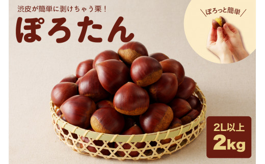 【期間限定】低温貯蔵 東美濃ぽろたん(生栗)東美濃農業協同組合【発送日10月末~12月上旬】 F4N-1960