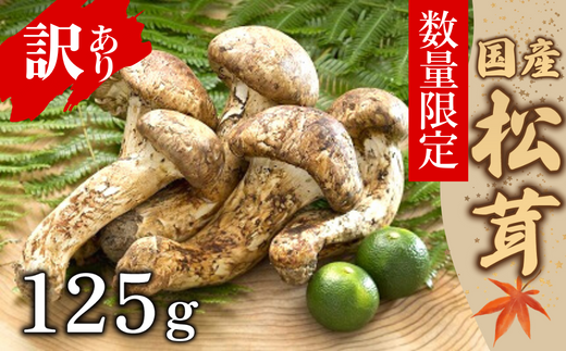 [数量限定] 天然松茸 125g 松茸ご飯、焼き松茸、土瓶蒸しなど 訳あり(簡易包装)