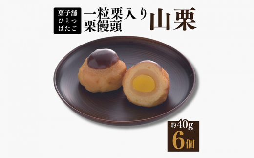 饅頭 一粒栗入り栗饅頭 山栗 6ケ入 白あん 一粒栗 岐阜県中津川市 F4N-1425