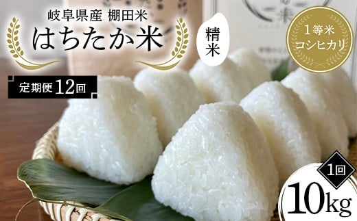 【12回定期便】岐阜県産 棚田米 1等米コシヒカリ はちたか米 精米10kg（5kg×2袋） F4N-2597