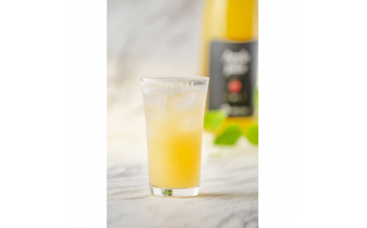 テレビで紹介!白根りんご農園の100%りんごジュース(720ml×3本)【1202534】