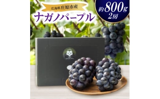 <先行受付 2026年発送>ナガノパープル2房セット【1345435】