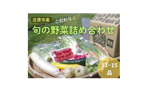 庄原産「旬の野菜」詰め合わせ箱【1345756】