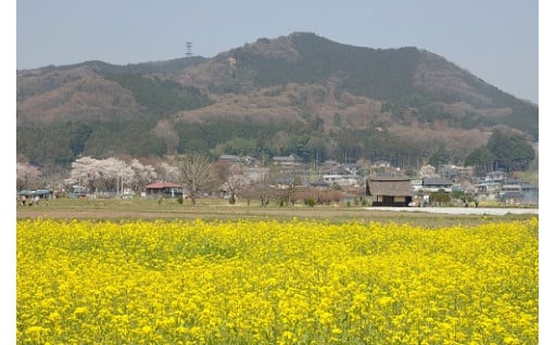 （2）ひだかの豊かな自然を後世に引き継ごう