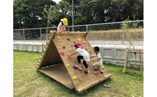 (1) 未来を担う子どもの育成及び子育て支援に関する事業